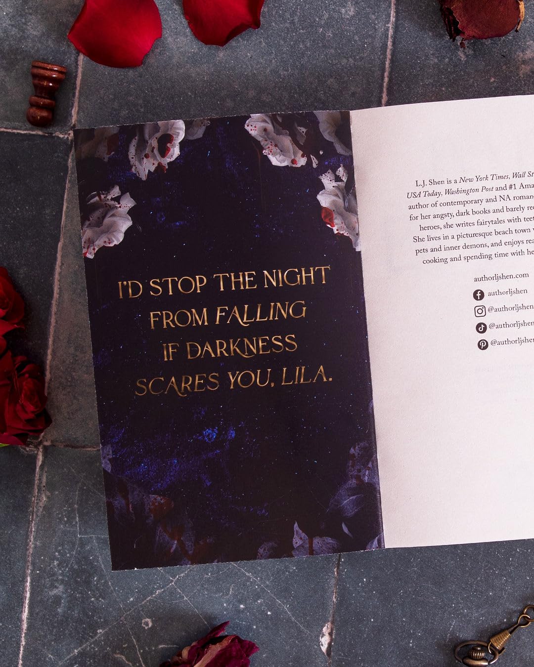 Bad Bishop (Society Villans #1)