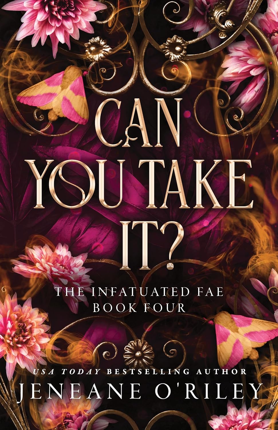 Can You Take It? (The Infatuated Fae Book 4)